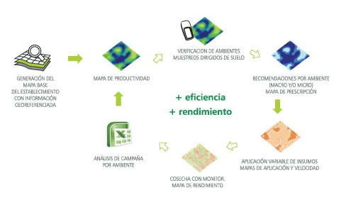 Proceso AP